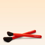 The Blush and Highlight Set