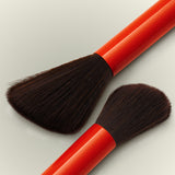 The Blush and Highlight Set