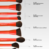 The Essential Face Set (6PC / 10 Heads)